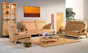 北欧阳光客厅组合,客厅,沙发,茶几装修效果图欣赏最新